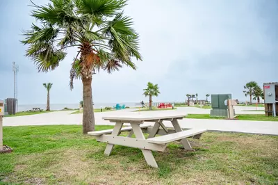 Premium Laguna Madre - 62